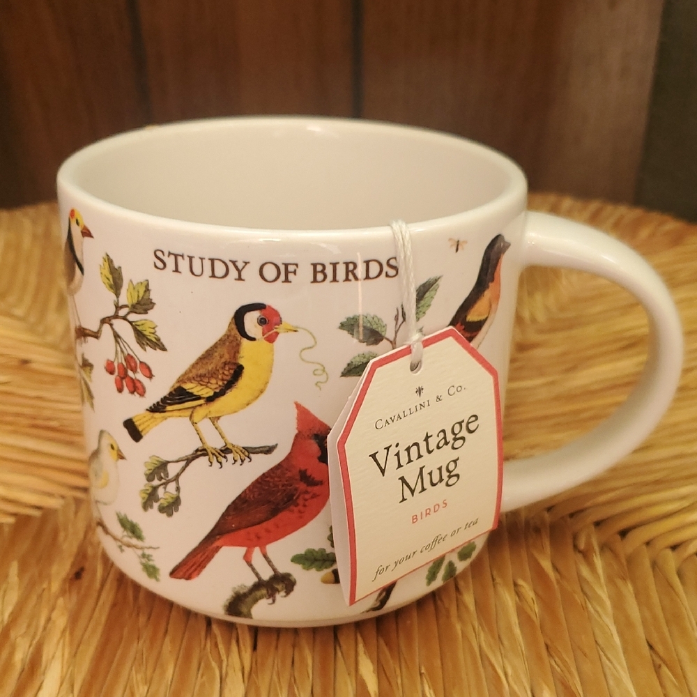Cavallini & Co. Coffee Tea Ceramic Mug Vintage Study Of Birds